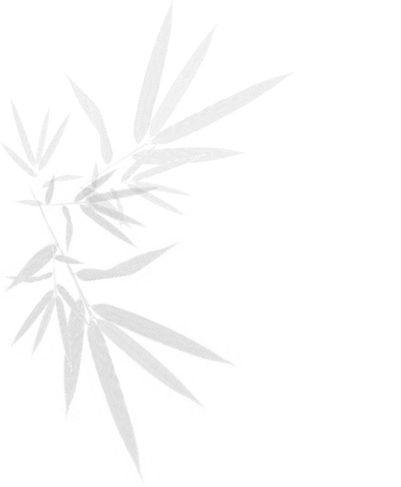 Choi's Health SPA Center for Teraputic benefits of Massage Therapy